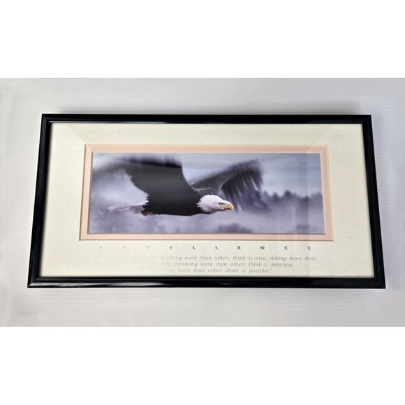 Excellence King Of The Skies Eagle Framed Photo Art Frank Oberle Photography - Picture 7 of 13
